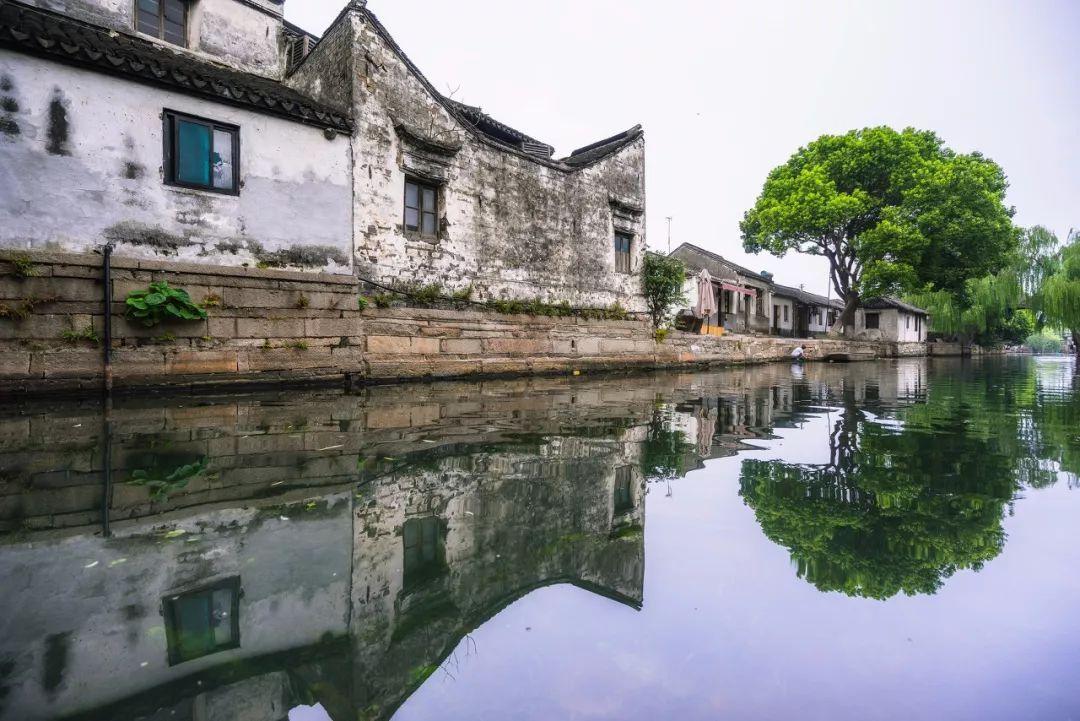 蜂王救援